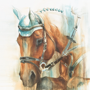 Clear Round 1 by Tammy Tappan