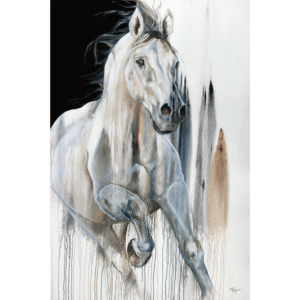 Shades of Grey by Tammy Tappan Available in Prints