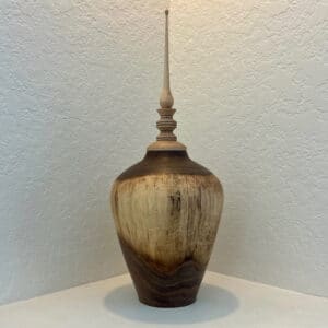Hollow Turned Vessel #2