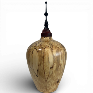 Hollow Turned Vessel #3