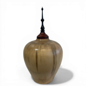 Hollow Turned Vessel #5