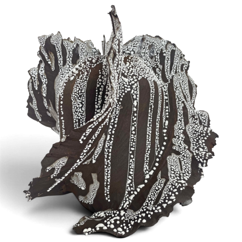 Black Crawl Vase by Darina Palmire